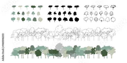 Architectural Drawings, Minimal style cad tree line drawing, Side view, set of section wetland forest outline for landscape design drawing. Vector illustration in seperate element