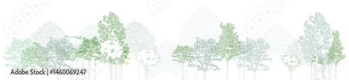 Architectural Drawings, Minimal style cad tree line drawing, Side view, set of section wetland forest outline for landscape design drawing. Vector illustration in seperate element