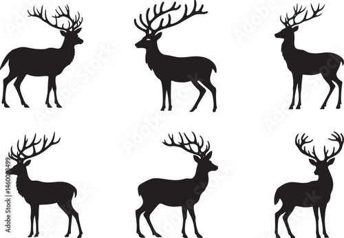 A Majestic Silhouette Collection Representing Wild and Free Wildlife with Natural Beauty