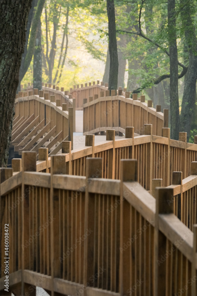 Obraz premium Elevated wooden walkway through forest A peaceful scene showing the path through a natural landscape