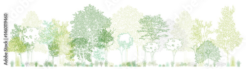 Architectural Drawings, Minimal style cad tree line drawing, Side view, set of section wildlife forest outline symbol for landscape design drawing. Vector illustration in stroke fill in white.