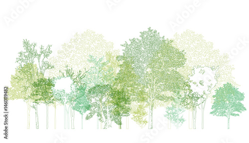 Architectural Drawings, Minimal style cad tree line drawing, Side view, set of section wildlife forest outline symbol for landscape design drawing. Vector illustration in stroke fill in white.