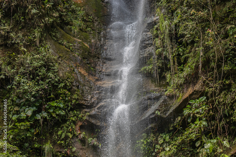 Obraz premium Waterfalls in the city of Tarapoto in Peru, a tourist spot in the Peruvian jungle