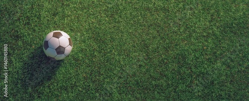 Soccer Ball Resting on Green Grass Field in Bright Daylight