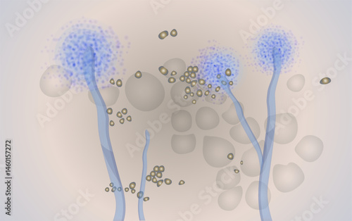 Mucor Fungus Spores - Illustration