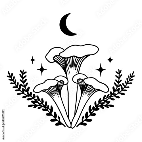 Elegant Black and White Chanterelle Mushrooms Under the Crescent Moon