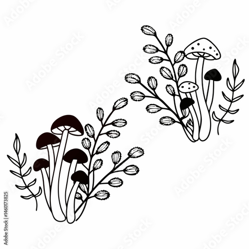 Hand Drawn Black and White Mushroom and Willow Branch Illustrations