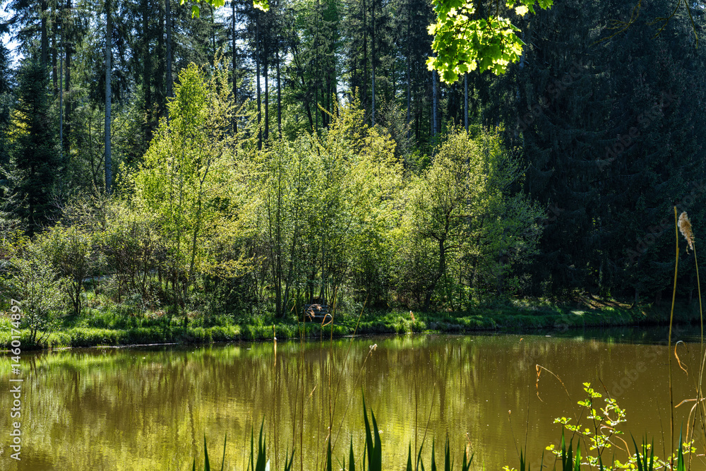 Hiking through the World Forest, Weltwald in Freising near Munich in Bavaria, Germany.