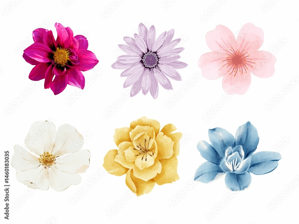 Collection of colorful flowers isolated on white background for graphic fabric design. Collection of colorful flowers isolated on white background for graphic fabric design.