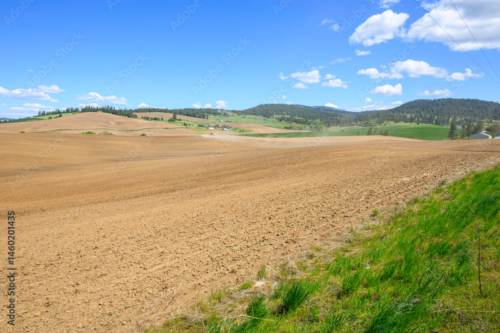 Φωτογραφία The rural agricultural farmland and fields in the rolling hills of Freeman, Washington State, a small rural community in Spokane County