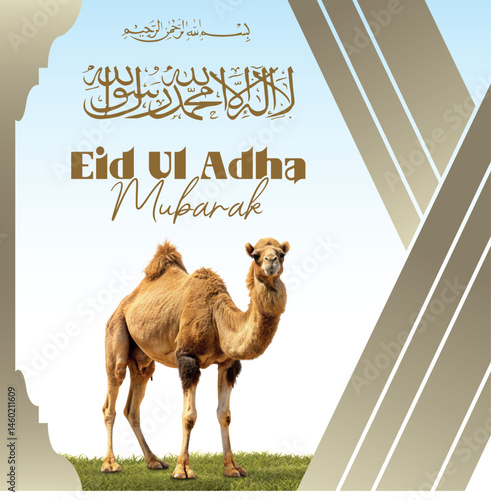 Eid Ul Adha Mubarak 2025 Poster Design with by Camel image