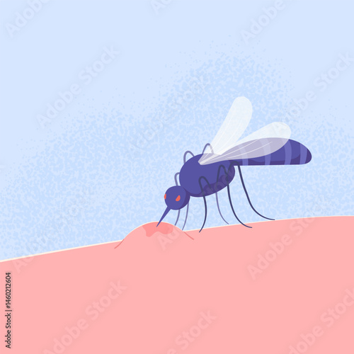 Close-up mosquito biting human skin and taking blood. Insect and irritation. Flat vector illustration of health, disease prevention, Dengue fever. Malaria risk and tropical virus transmission.