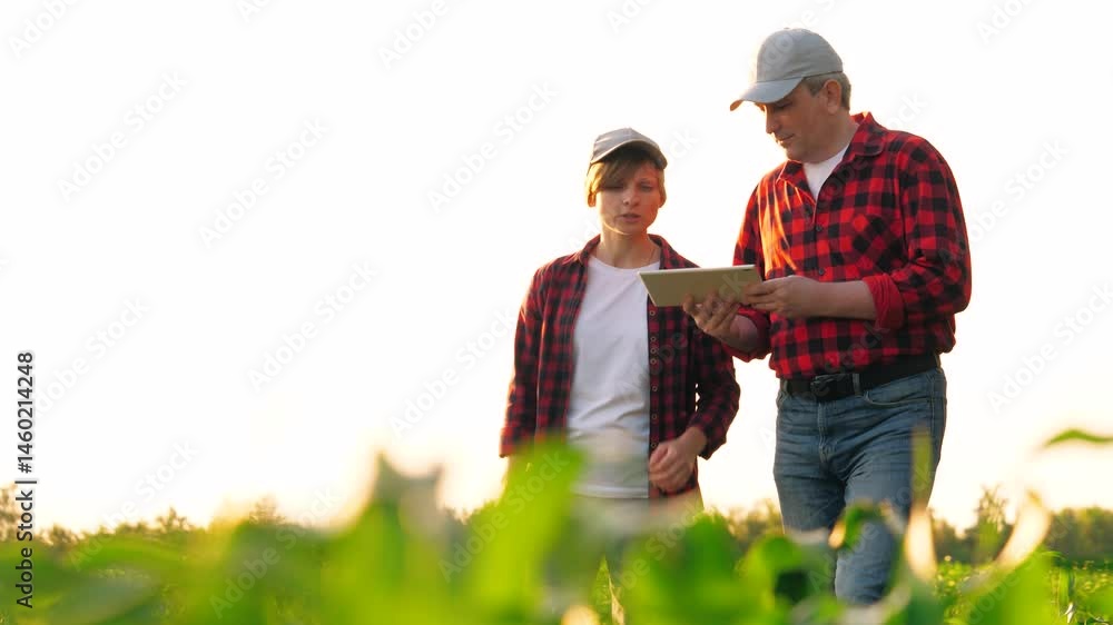 Man and woman farmer agronomist colleagues going on corn field with digital tablet. Two professional agricultural worker analyzing farming cultivation organic plant growth use modern technology Man and woman farmer agronomist colleagues going on corn field with digital tablet. Two professional agricultural worker analyzing farming cultivation organic plant growth use modern technology