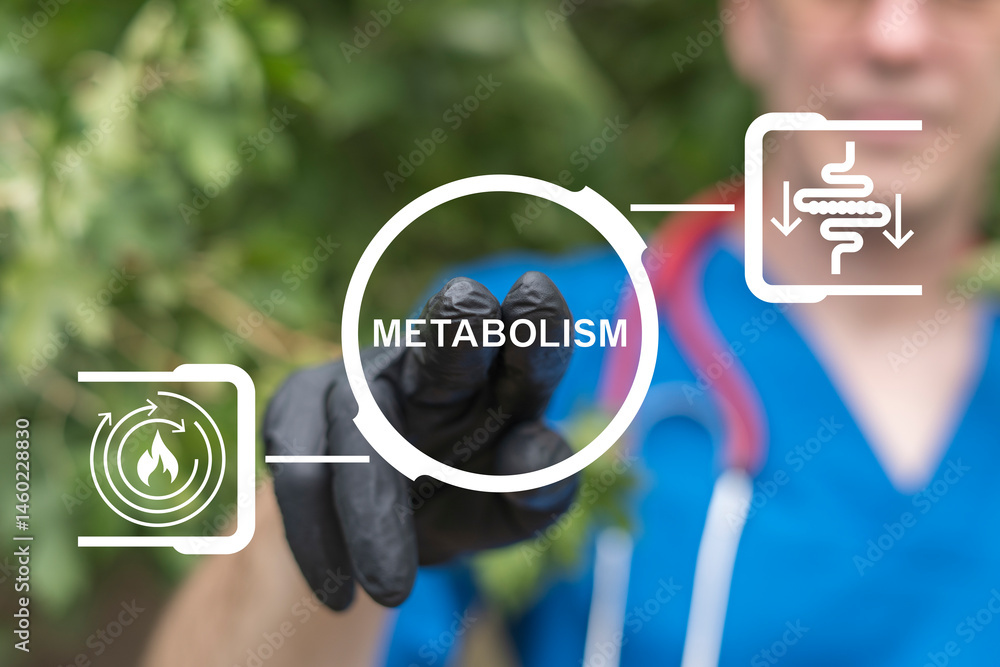 Metabolism Medical Concept. Human Comprehensibility Metabolic Syndrome Research. Metabolism Level.