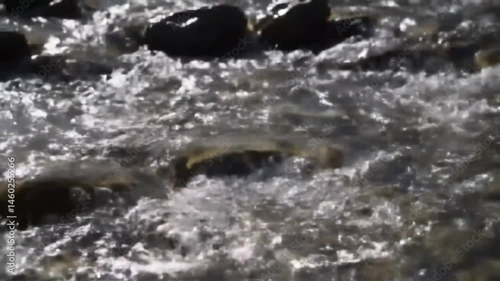 Flowing Water Over Rocks in a Natural Stream Flowing Water Over Rocks in a Natural Stream