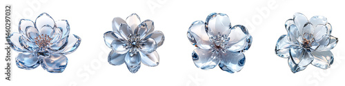 Set, group, collection of Crystal flower isolated on a transparent background.
