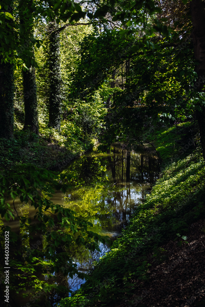 View of a narrow river in a forested area in a park. View of a narrow river in a forested area in a park.