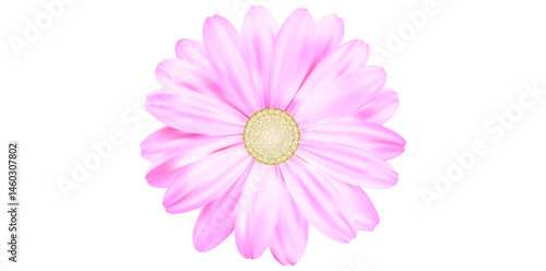 Realistic Spring Flower Isolated On White Background.