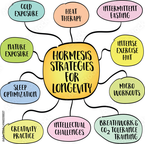 Home based hormesis strategies for healthy aging and longevity, including cold therapy, fasting, exercise, and mental resilience practices. Mind map sketch infographic.