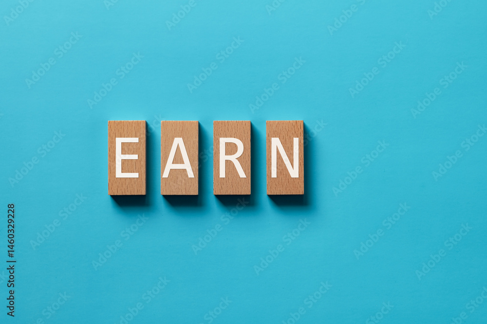 Obraz premium There is wood block with the word EARN. It is as an eye-catching image.