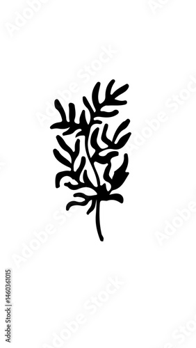 planta