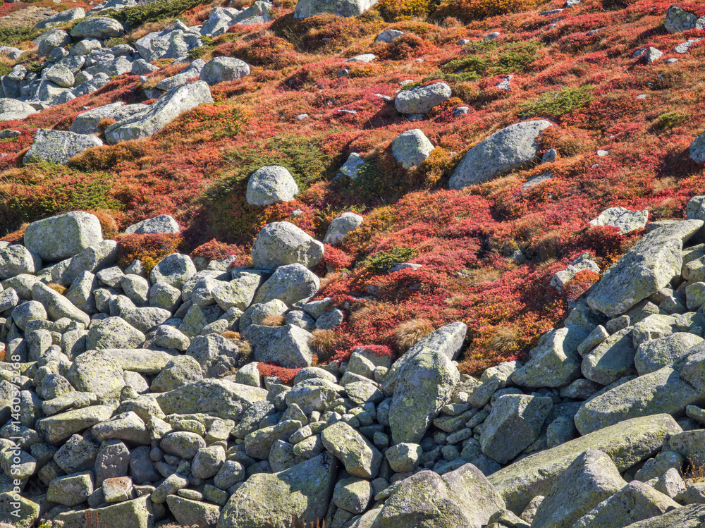 Vitosha Mountain near Cherni Vrah peak, Bulgaria