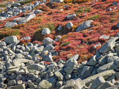 Vitosha Mountain near Cherni Vrah peak, Bulgaria