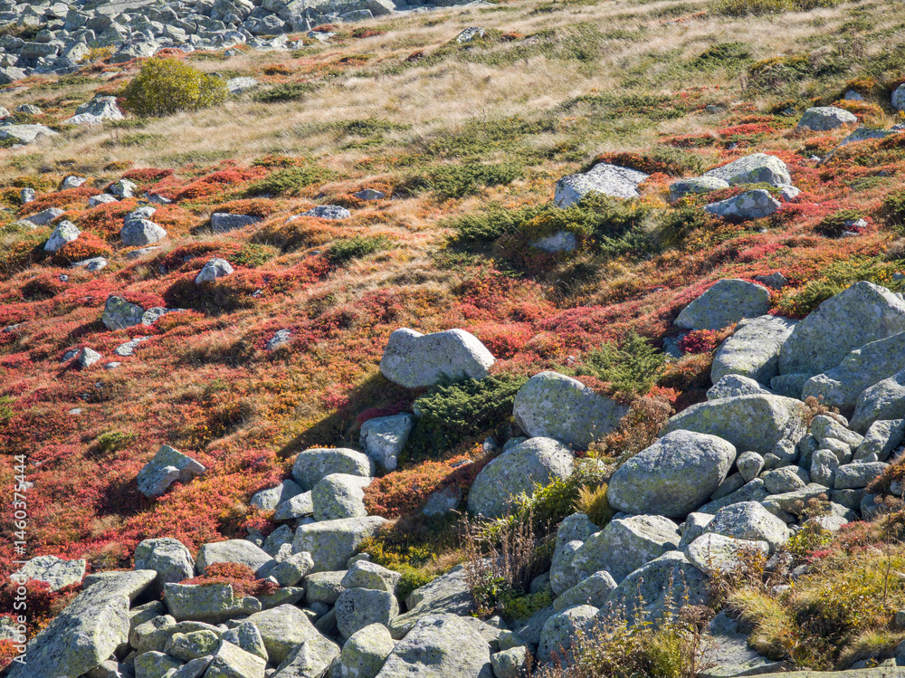 Vitosha Mountain near Cherni Vrah peak, Bulgaria