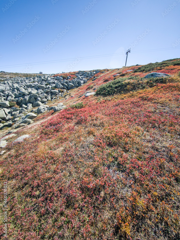 Vitosha Mountain near Cherni Vrah peak, Bulgaria