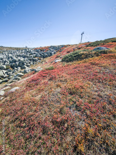 Obraz na płótnie Vitosha Mountain near Cherni Vrah peak, Bulgaria w salonie