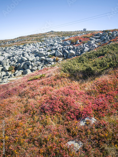 Obraz na płótnie Vitosha Mountain near Cherni Vrah peak, Bulgaria w salonie
