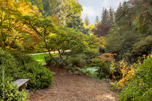 A view of the landscape of an arboretum during the fall season.