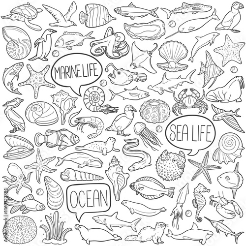 Sea Animals Doodle Icons Black and White Line Art. Fauna Clipart Hand Drawn Symbol Design.
