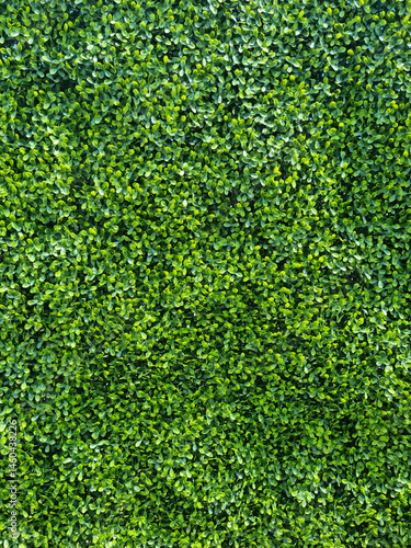 A wall made of artificial hedge	
