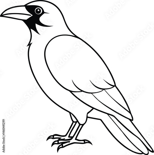 hand drawn crow outline 