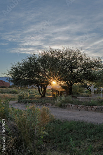 sunset in the park