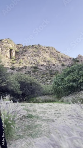 Walking through the mountains with flowers