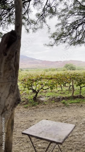 Winery with red rock mountains in Argentina