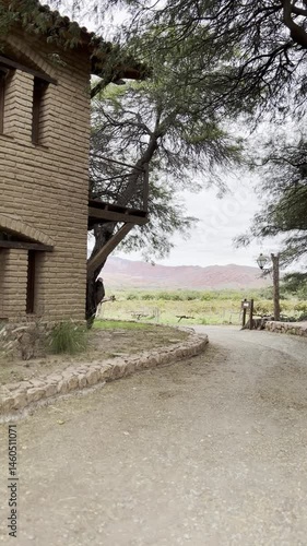 Old countryside home with stone driveway in Argentina