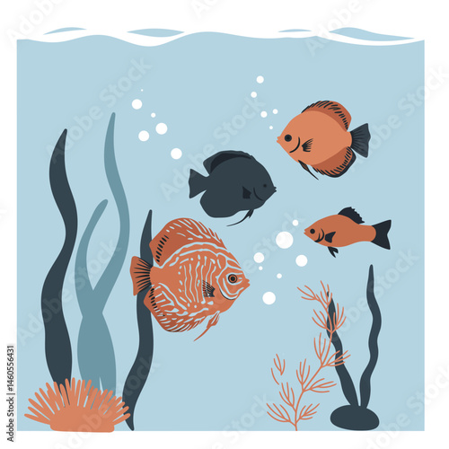 Colorful tropical fish swimming underwater with seaweed and coral in ocean life vector illustration 