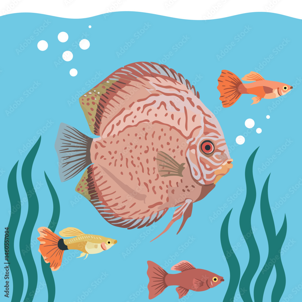 Naklejka premium Discus Fish and Small Aquarium Fish Swimming Among Aquatic Plants in Blue Water Vector Illustration 