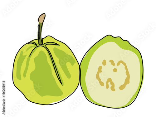 Guava fruit in a continuous line drawing on a white background.