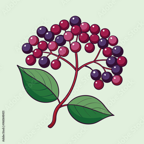 Vibrant illustration of a red and purple berry branch with lush green leaves