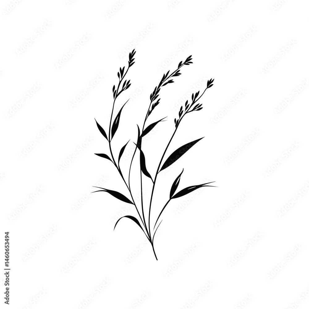 Naklejka premium Minimalist Black Grass Stalks on Transparent Background Line Art Design