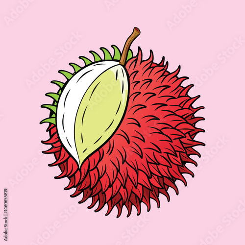 A vibrant illustration of a rambutan fruit partially peeled revealing its sweet creamy white flesh a tropical delicacy