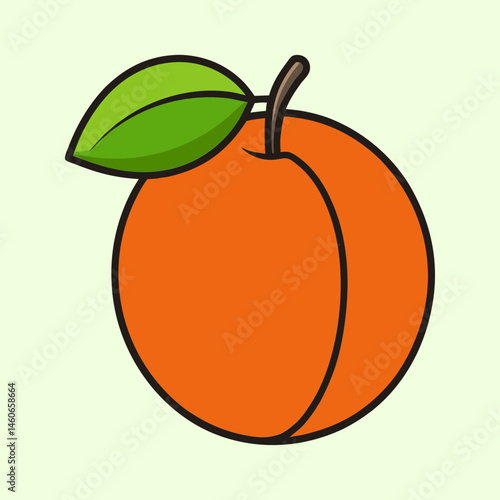 A Single Ripe Apricot with a Green Leaf Illustration