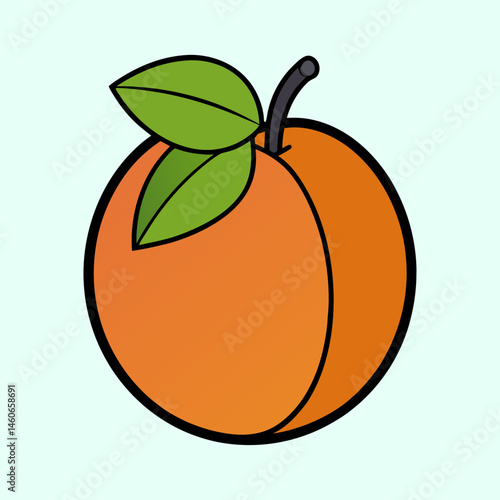 A single ripe apricot with two green leaves illustration