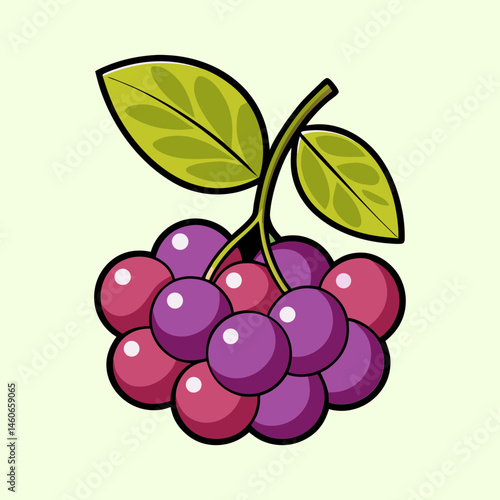 A Delightful Bunch of Freshly Picked Purple and Red Berries with Lush Green Leaves