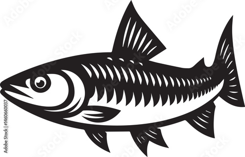 vector illustration of a fish white background