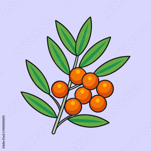 Illustration of a Branch with Ripe Orange Berries and Lush Green Leaves